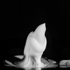 cymatics experiment photography nikon test
