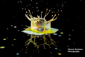 milk splash photography, splash art, liquid art, splash photography, Liquid formations, macro, high speed photography, milk drop photography, splash image, liquid splash, stopshot, cognisy, multicolour, liquid manipulation , ink, paint,